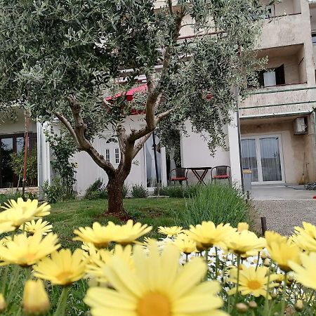 Leona Apartment Vidikovac, Пула Екстериор снимка