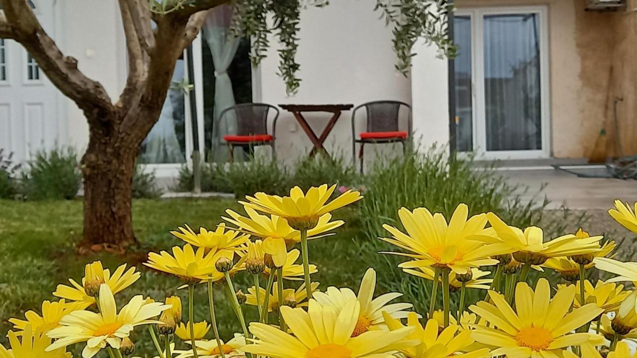Leona Apartment Vidikovac, Пула Екстериор снимка